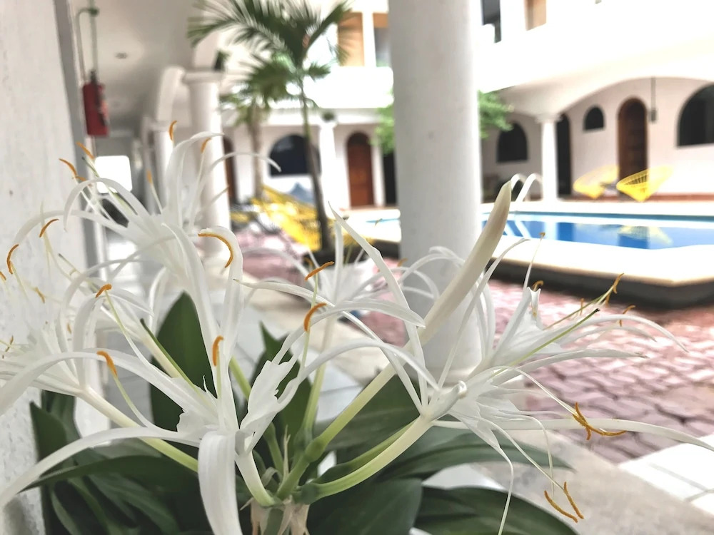 Hotel VSI