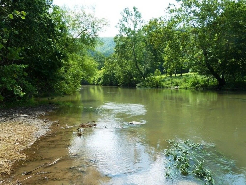 Light of the Valley River House