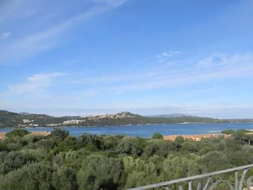 Asfodeli di Marinella