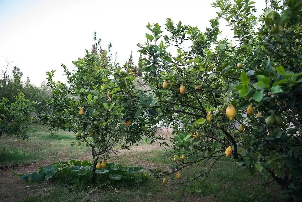 La Carcara