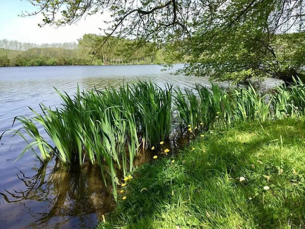 Camping Les Berges de la Dordogne