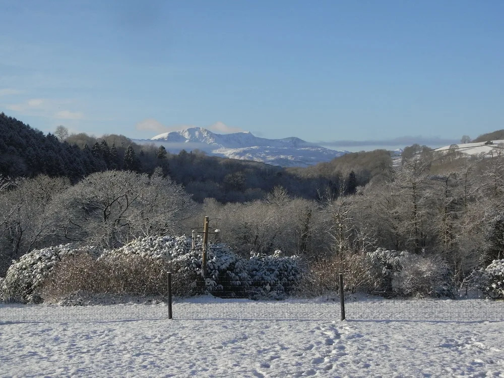 Y Bwythyn at Henfaes