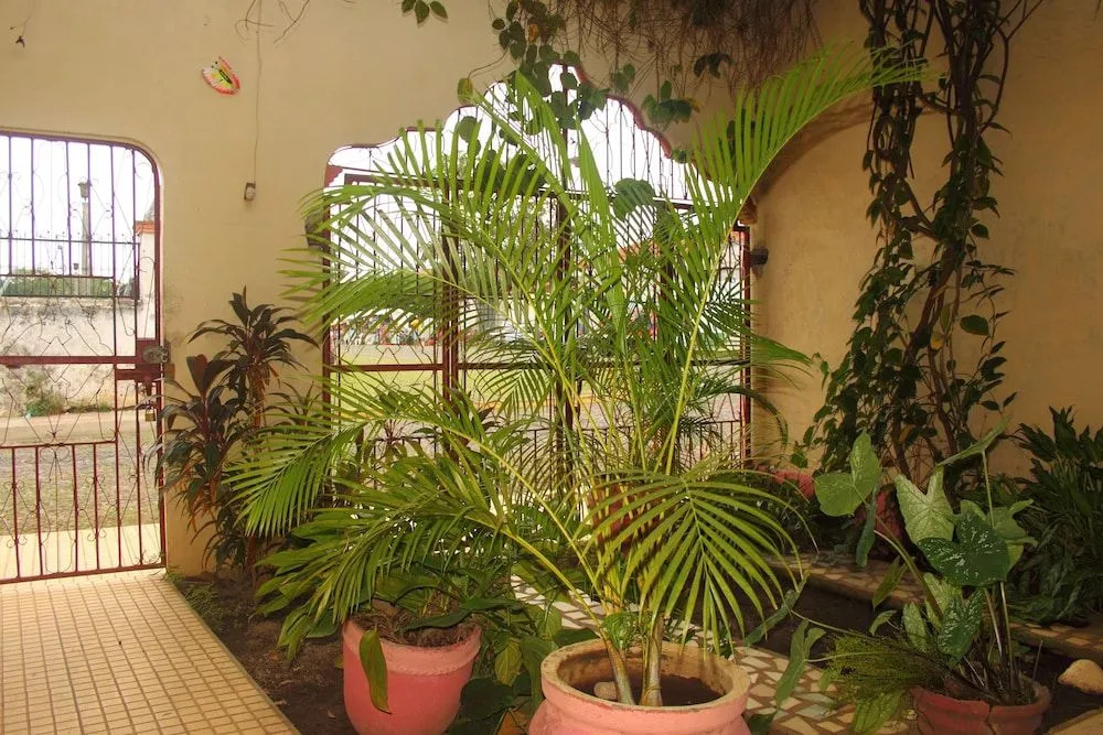 El Punche de Oro-Guest House - Hostel
