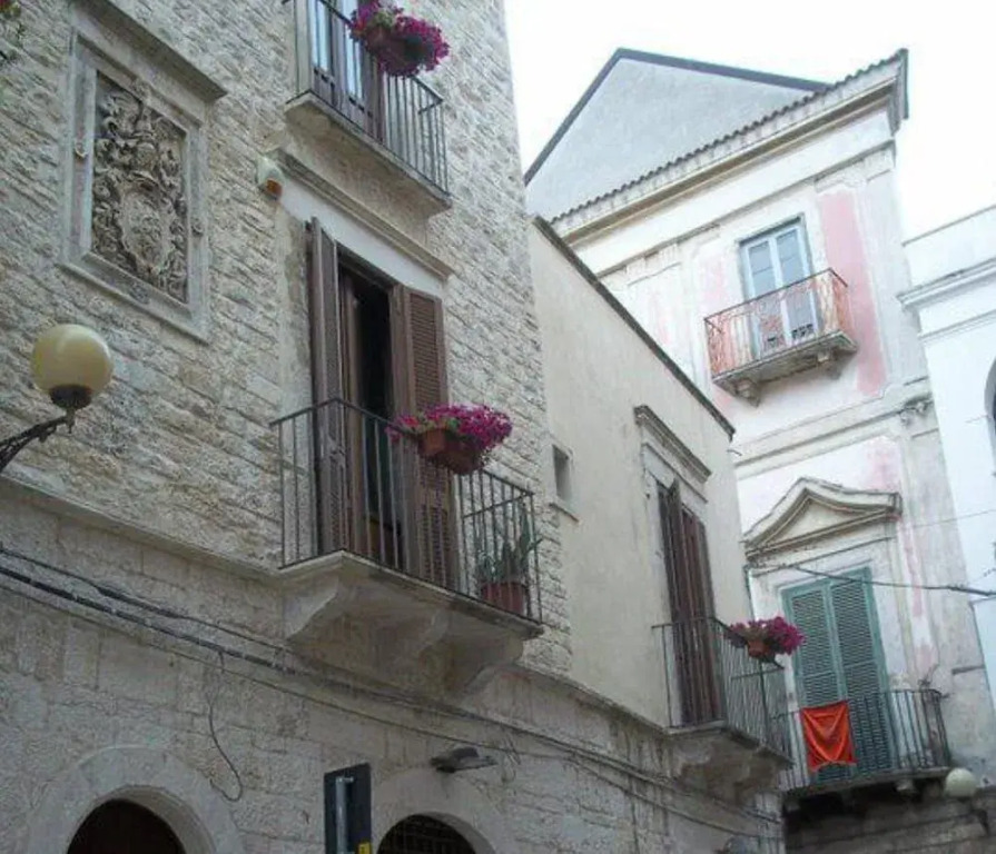 Il Cimiero