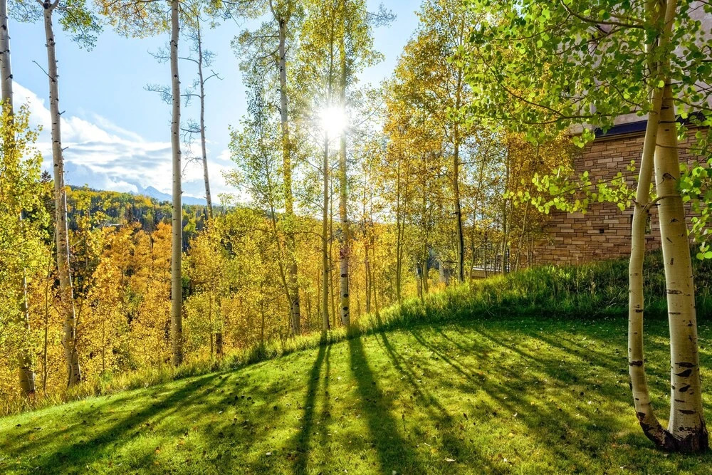 Aspen Ridge 7 3 Bedroom Townhouse by Alpine Lodging Telluride