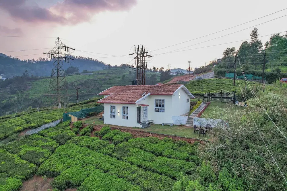 The springs Nilgiris