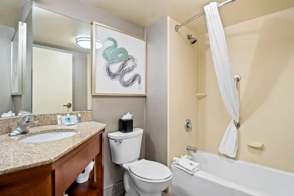 Comfort Inn Cadillac