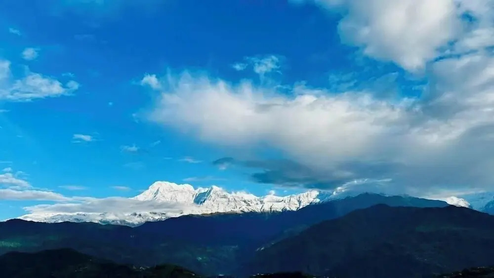 Moonlight Homestay and Camping Site