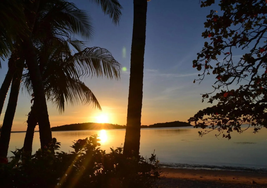 Palm Island Hotel