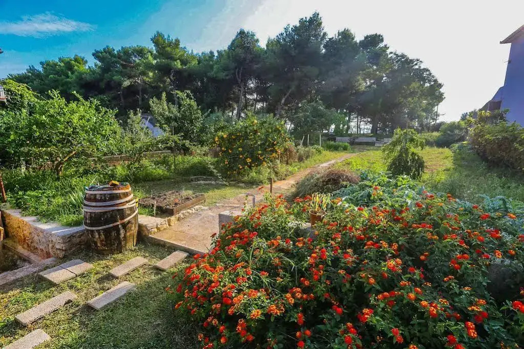 Apartment Hosana