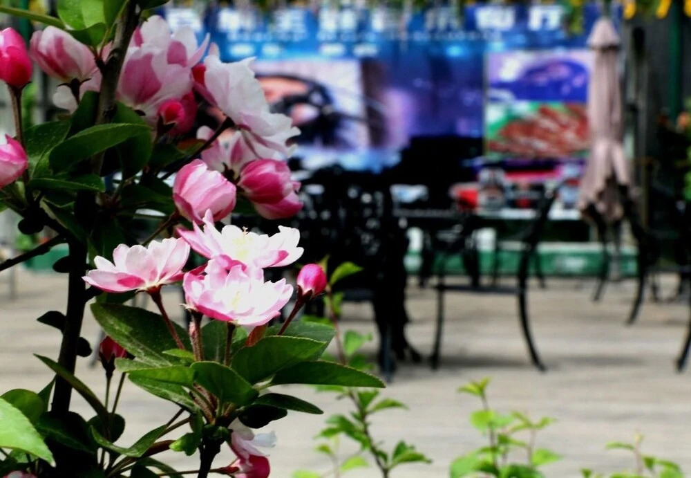 Xi'An Garden Hotel