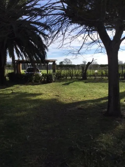 Podere il Castellaccio Pianetti