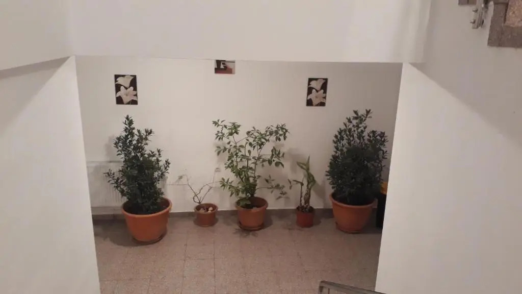 Casa Dobrescu Centura De Nord