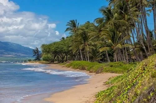 Waiohuli Beach Hale by Rentals Maui Inc.