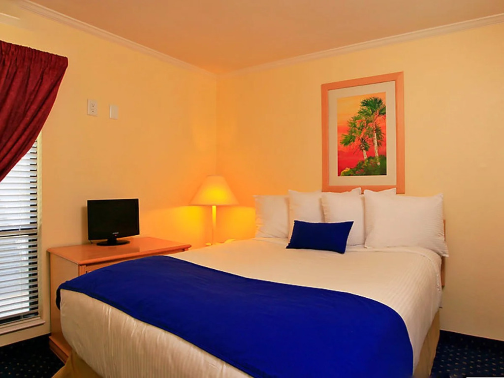 Tampa Waterfront 14179