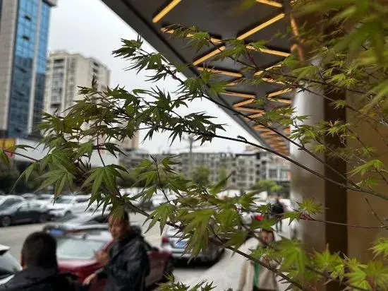 Manndoo S Hotel