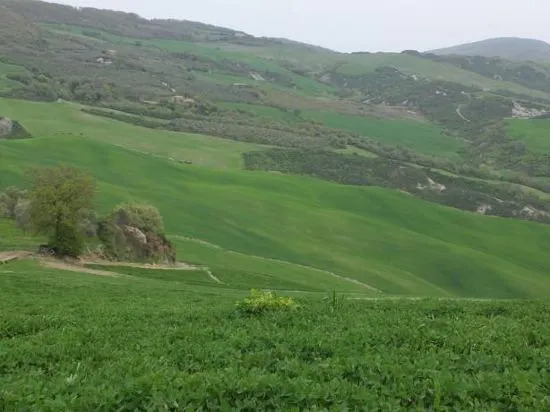 Agriturismo Riposati