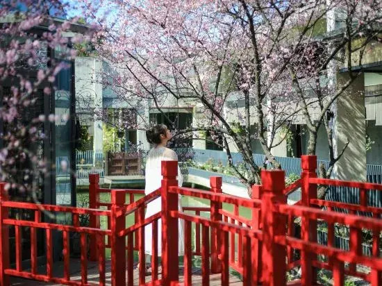 Hangzhou Shuimo Zhuang Private Home Forest Hotel (Chaoshan Scenic Area)