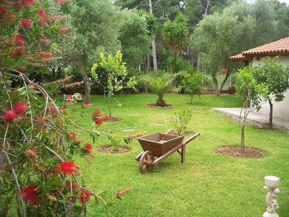 Joannas Studios