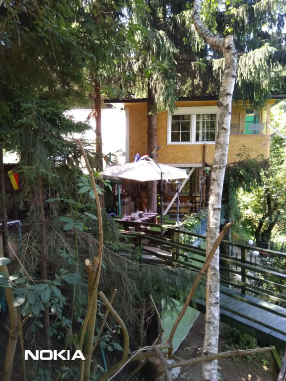 tree house