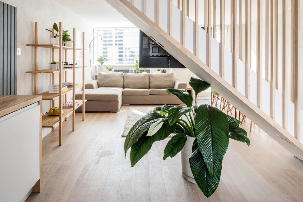 The Lanes Residence