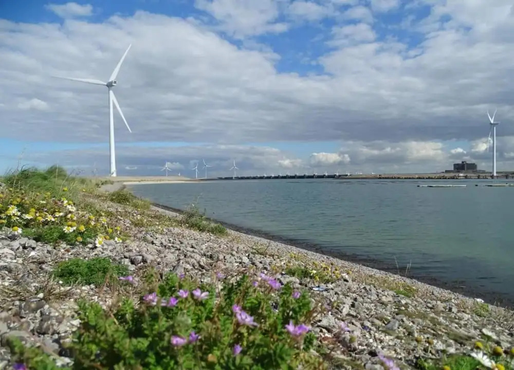 Lovely holiday home in Wissenkerke with garden