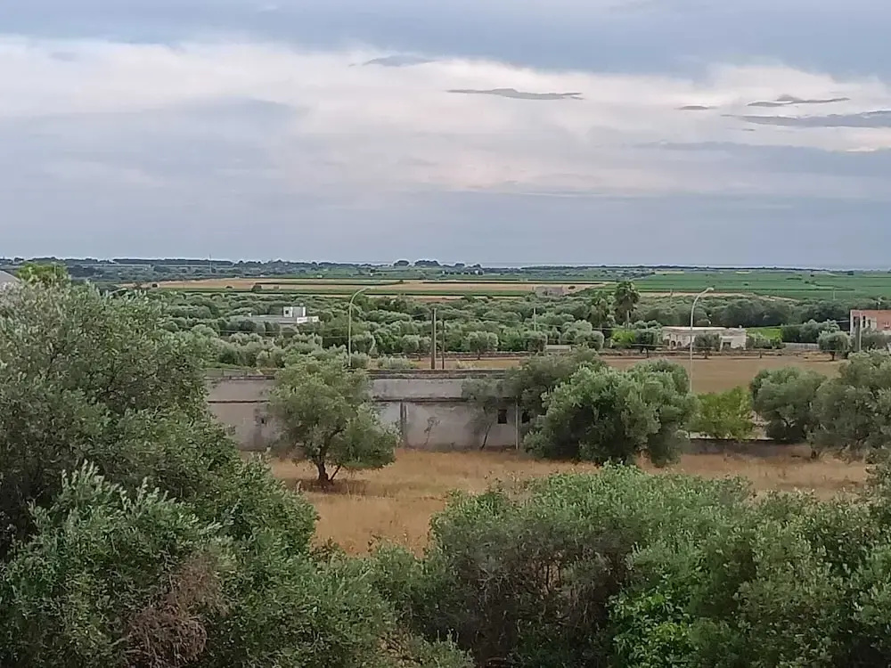 Masseria Belvedere