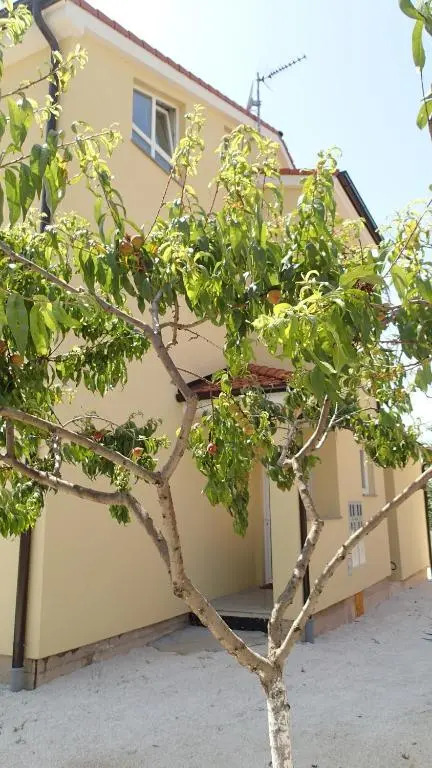 Apartment UNA