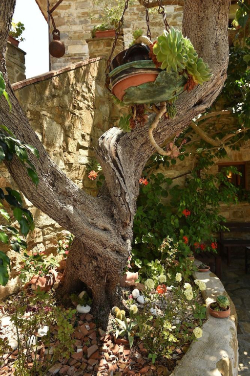 Agriturismo La Mimosa
