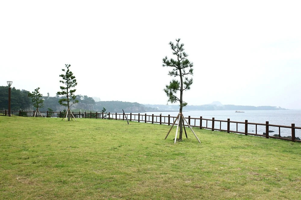 Seogwipo Badahae