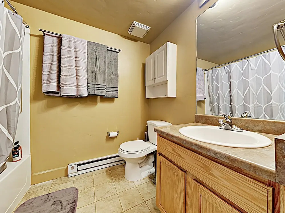 New Listing! Renovated Studio W/ On-site Gondola Studio Bedroom Condo