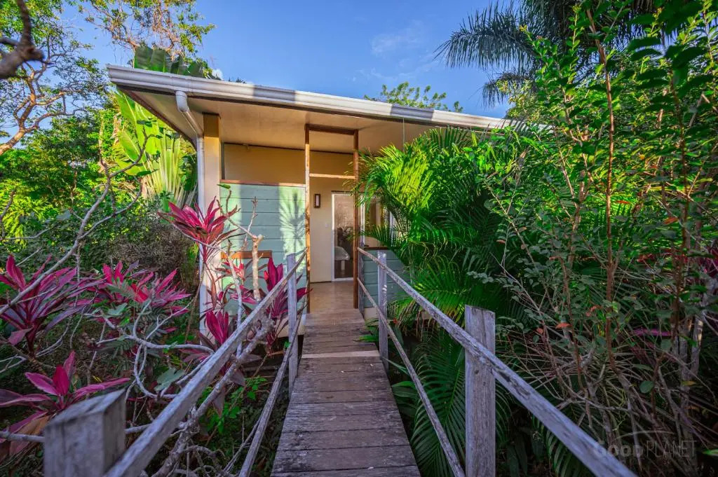 Mango's Lodge