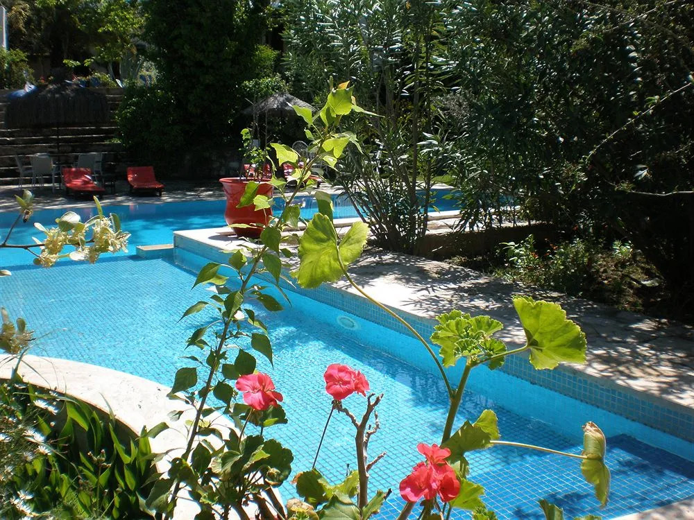 Bakkhos Guesthouse