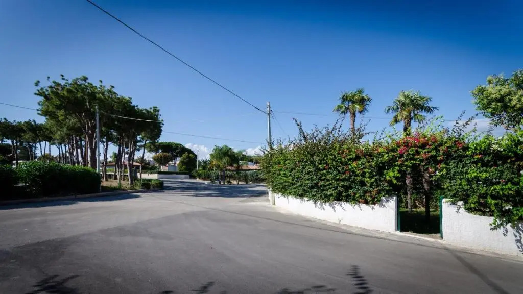 Bungalow Coccinella