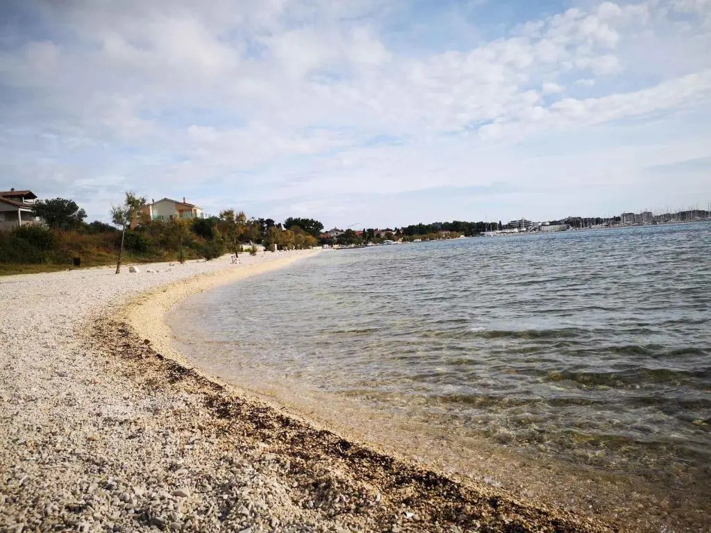 Apartments in Biograd na Moru 8169