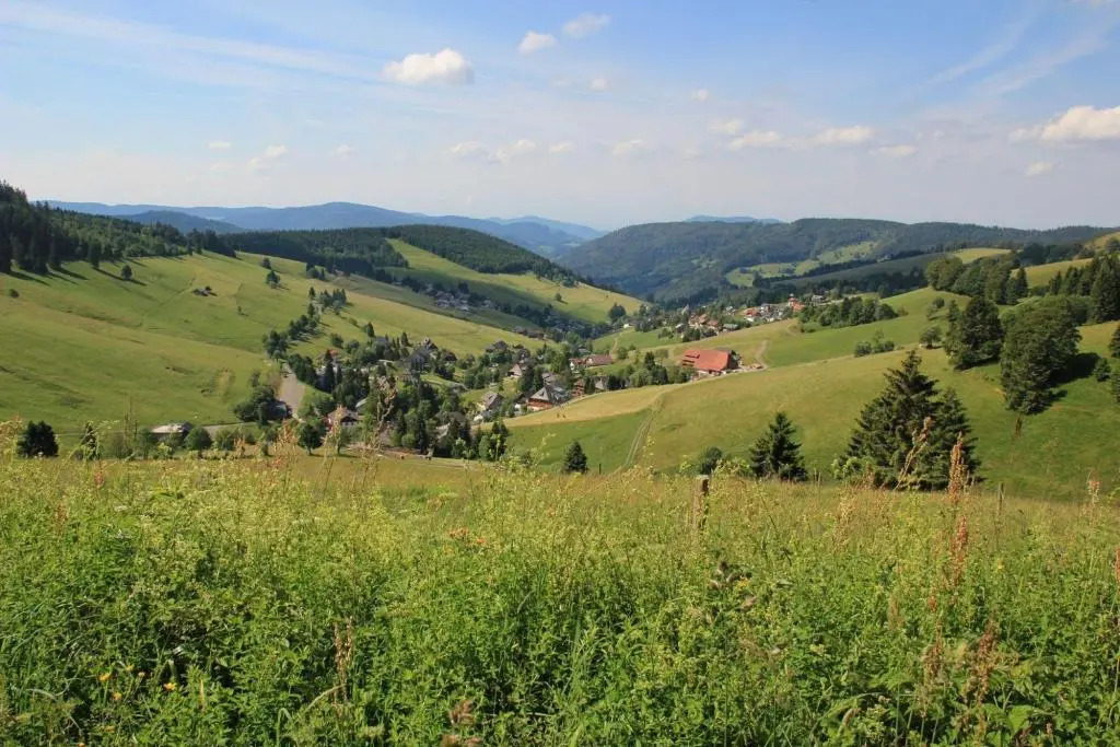 Ferienwohnung-Schwarzwald-in-der-Pension-Gloecklehof