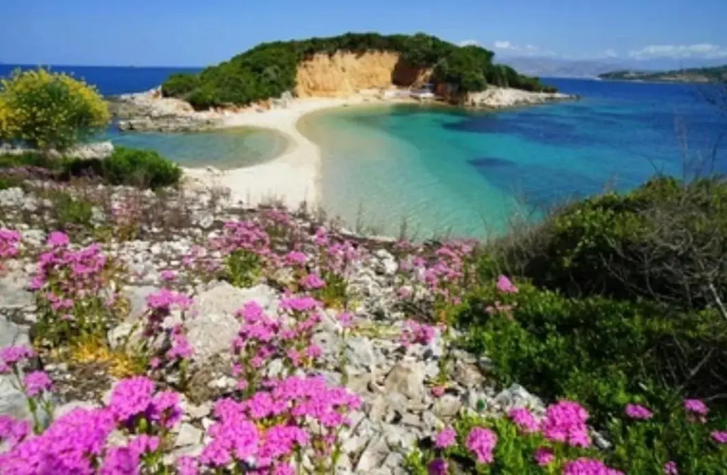 Vila Mare