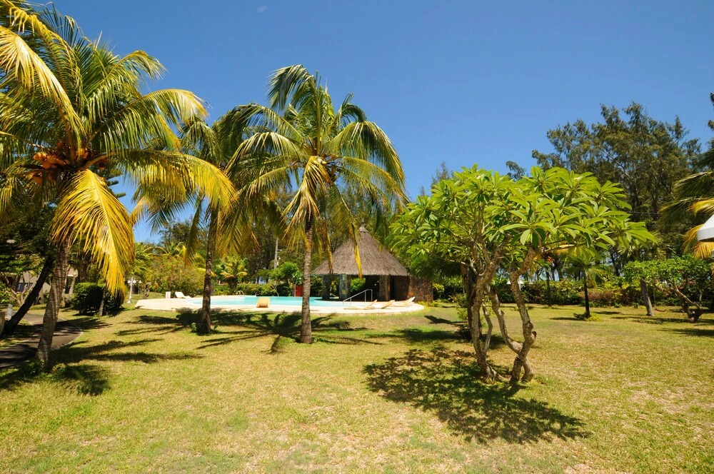 The Retreat