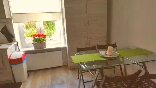 Zorza Polarna