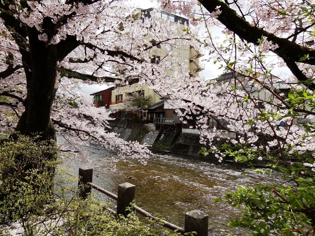 Spa Inn Oyado Iguchi
