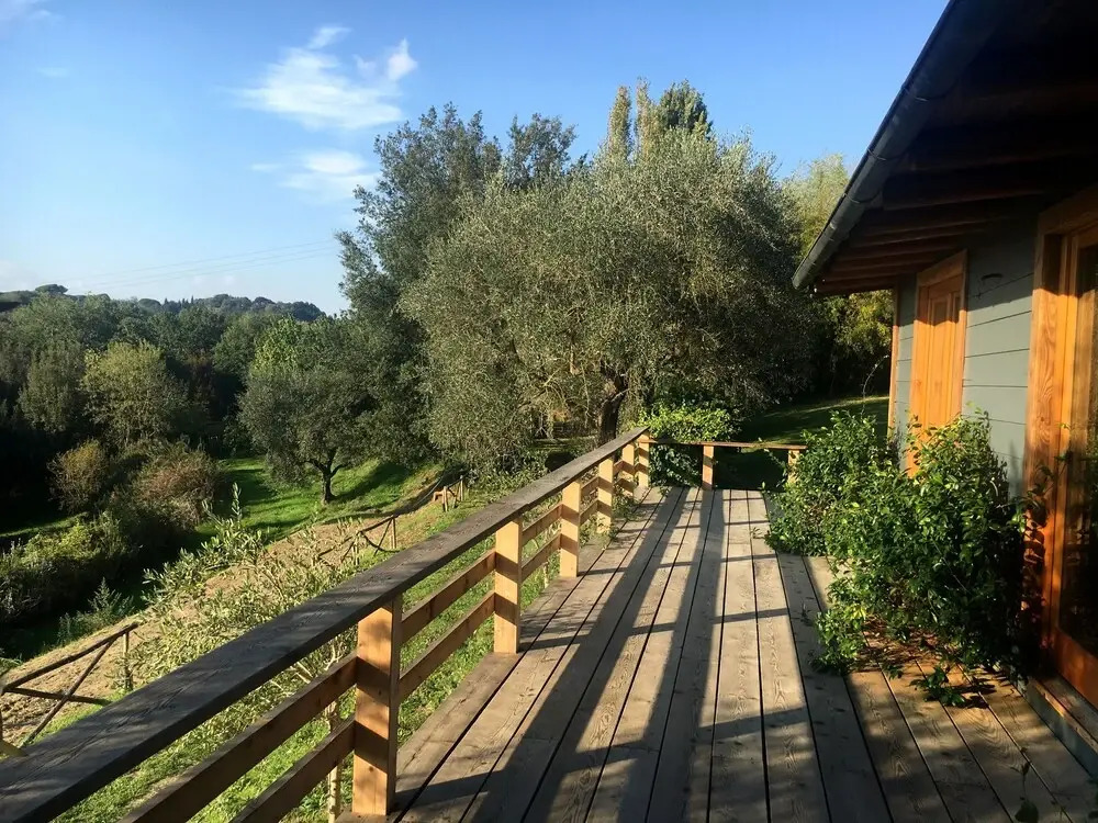 Madonnella Agricola