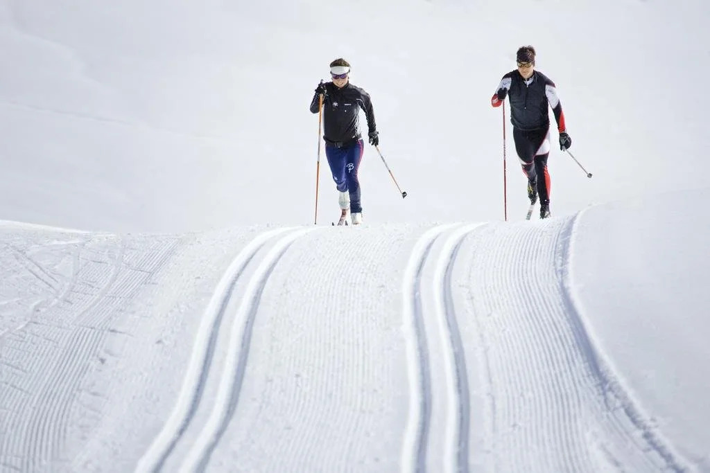 Apart Alpen