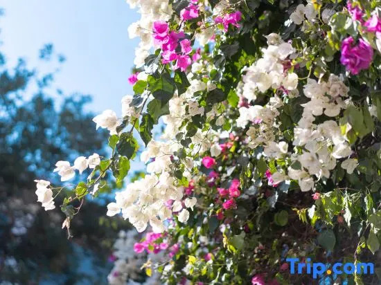 Tinghua Island Garden Resort