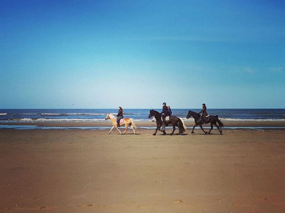 Holiday Home at the Edge of the Dunes Just Outside of Noordwijk aan Zee