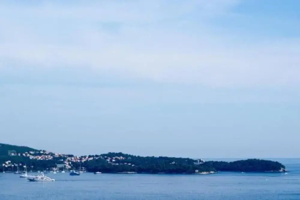 Apartments Olive - One Bedroom Apartment With Terrace and Partial Sea View - Popolica 50