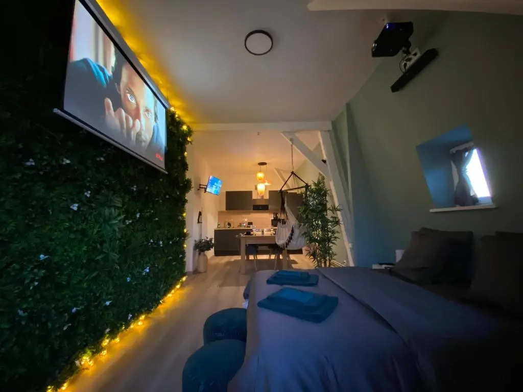 Zen - Roubaix-Lille - Balneo - Home Cinema - Billard
