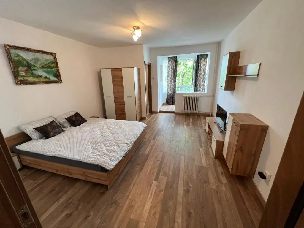 Apartament 1 Room center circumvalațiunii