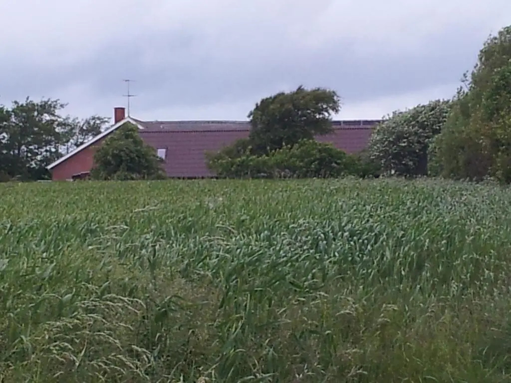 Lilleledgaard country house