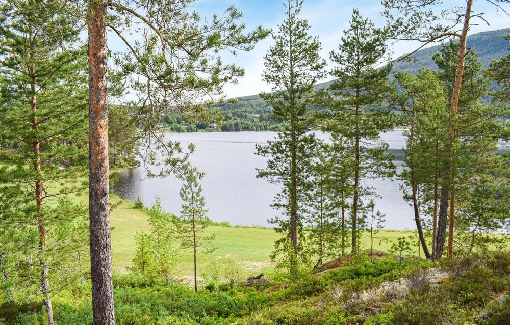 Awesome Home in Vrådal With Sauna, Wifi and 4 Bedrooms