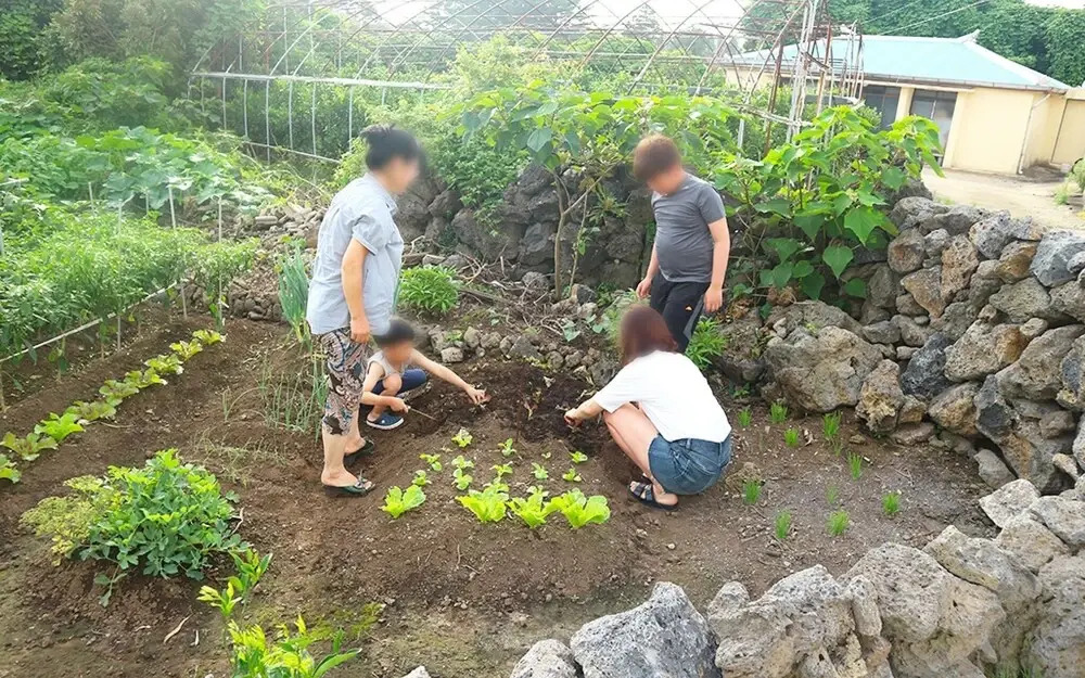 Jeju Pureunseom Guest House